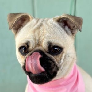 Meet your Posher, Jayla